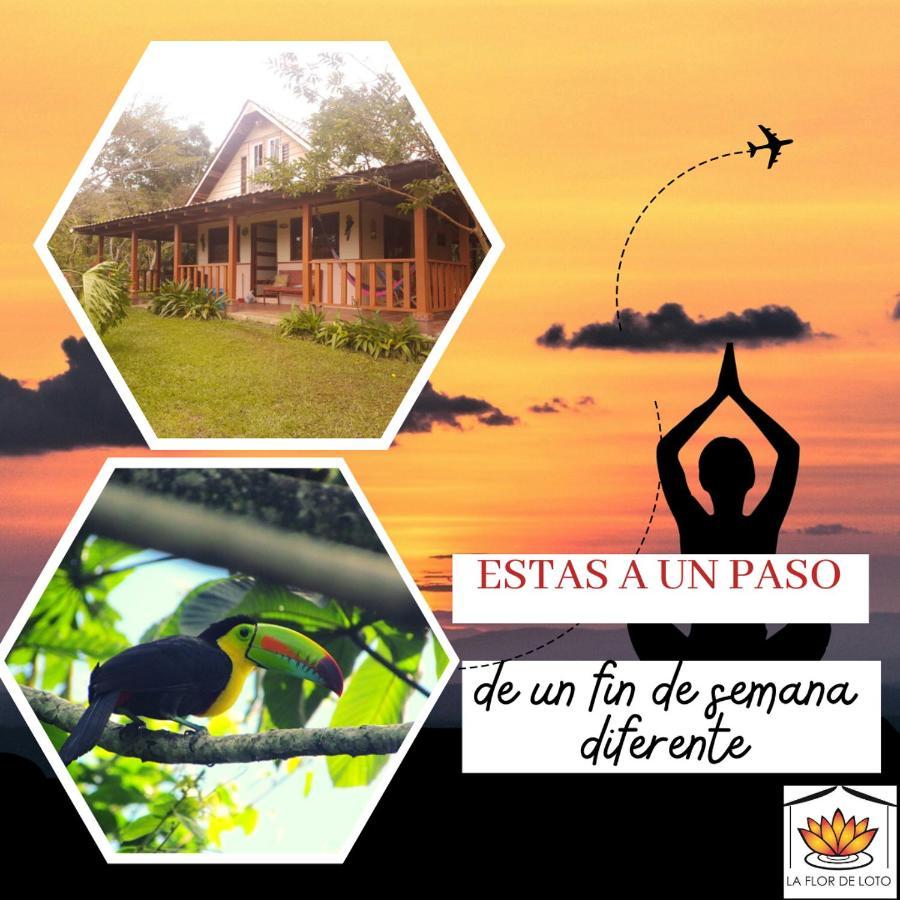 La Flor de Loto Villa Cartago Exterior foto