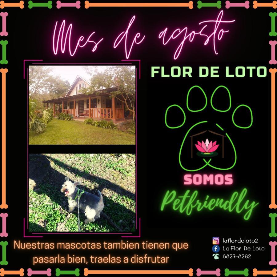 La Flor de Loto Villa Cartago Exterior foto