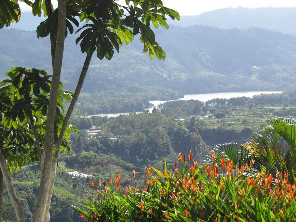 La Flor de Loto Villa Cartago Exterior foto